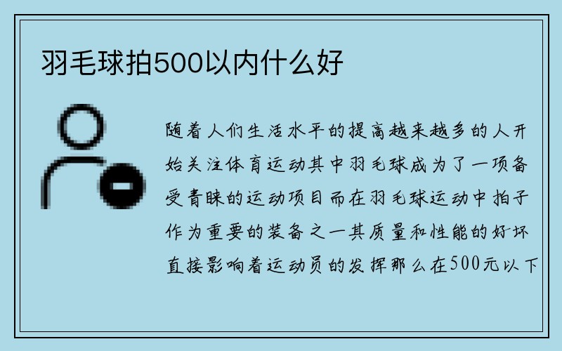 羽毛球拍500以内什么好