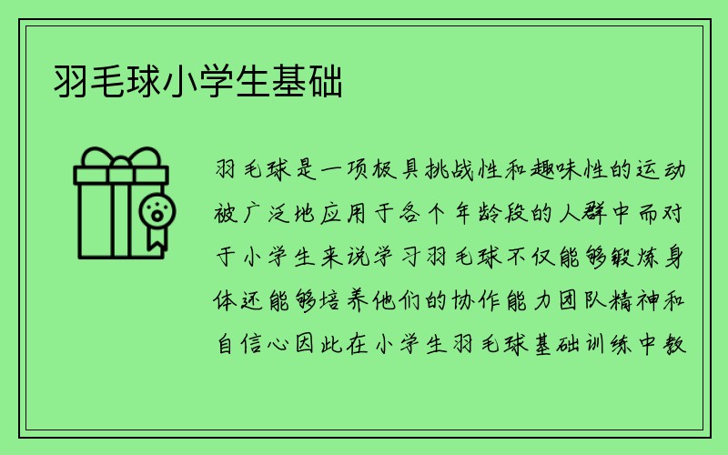 羽毛球小学生基础